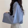 Korean Chic Long-Sleeve Knit Sweater: Women's Petite, Loose, Round Neck, Solid Color, Early Spring Style.