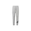 Sports Pants Men's Gray Moderate HE1826