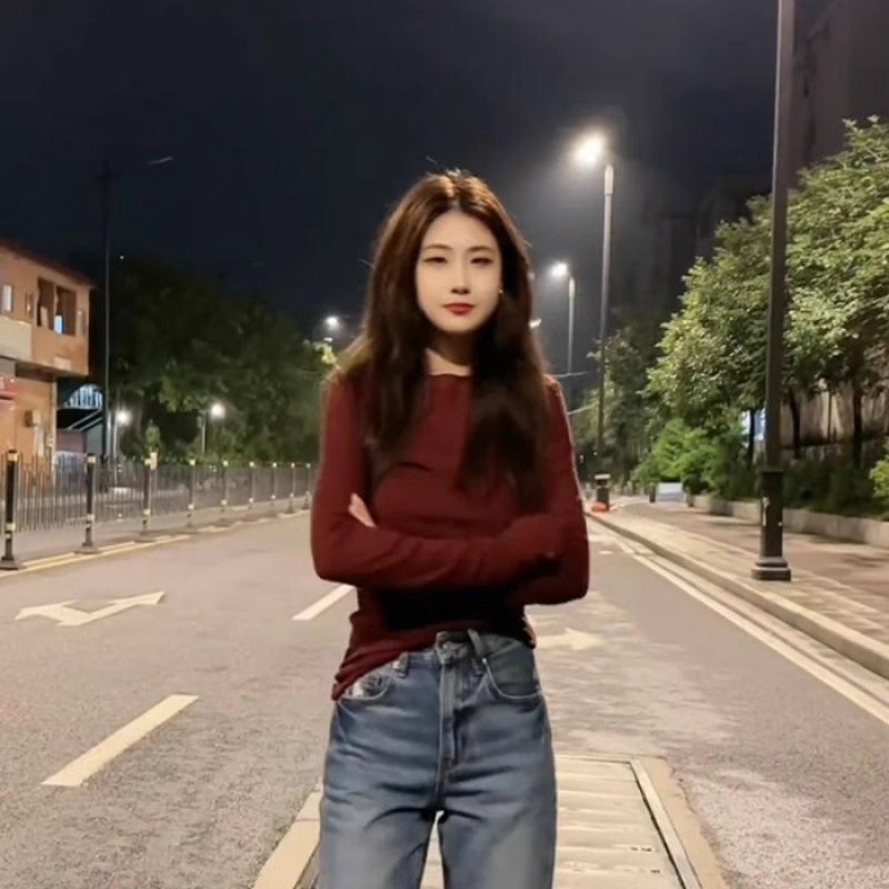 Spring Long Sleeved T-shirt Base Shirt Round Neck Slim Fit Top For Women