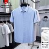 Pierre Cardin Men's Silk Linen Blend Short Sleeve Shirt