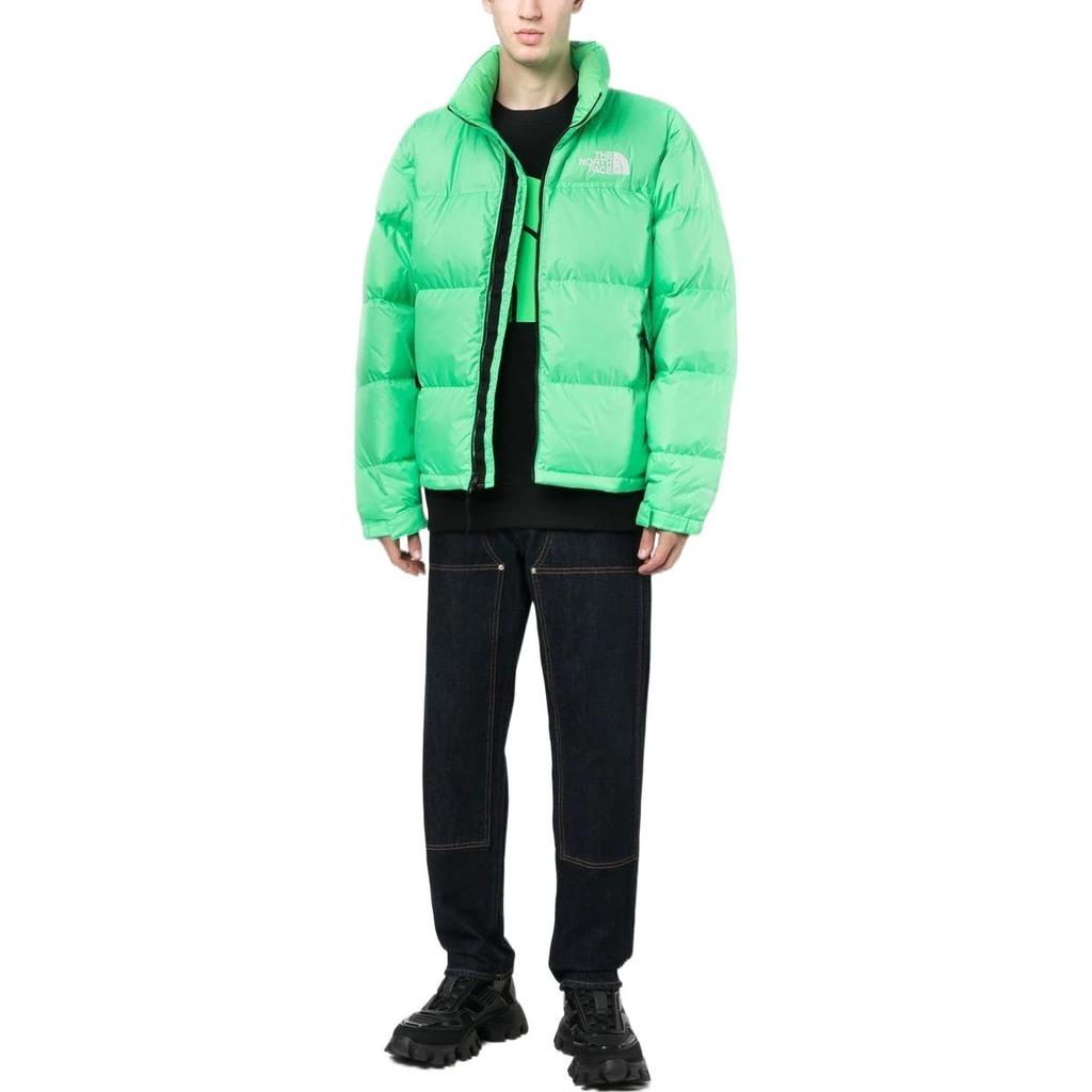 The North Face 1996 Nuptse Jacket 700 Men's NF0A3C8D-8YK