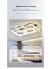 Italian Minimalist Modern Living Room Ceiling Light 2025: High-End Luxury Artistic Design