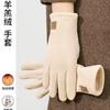 Winter Women's Lamb Wool Gloves Outdoor Riding Cold-proof and Warm Gloves with Fleece Touch Screen Five-finger Gloves Wholesale