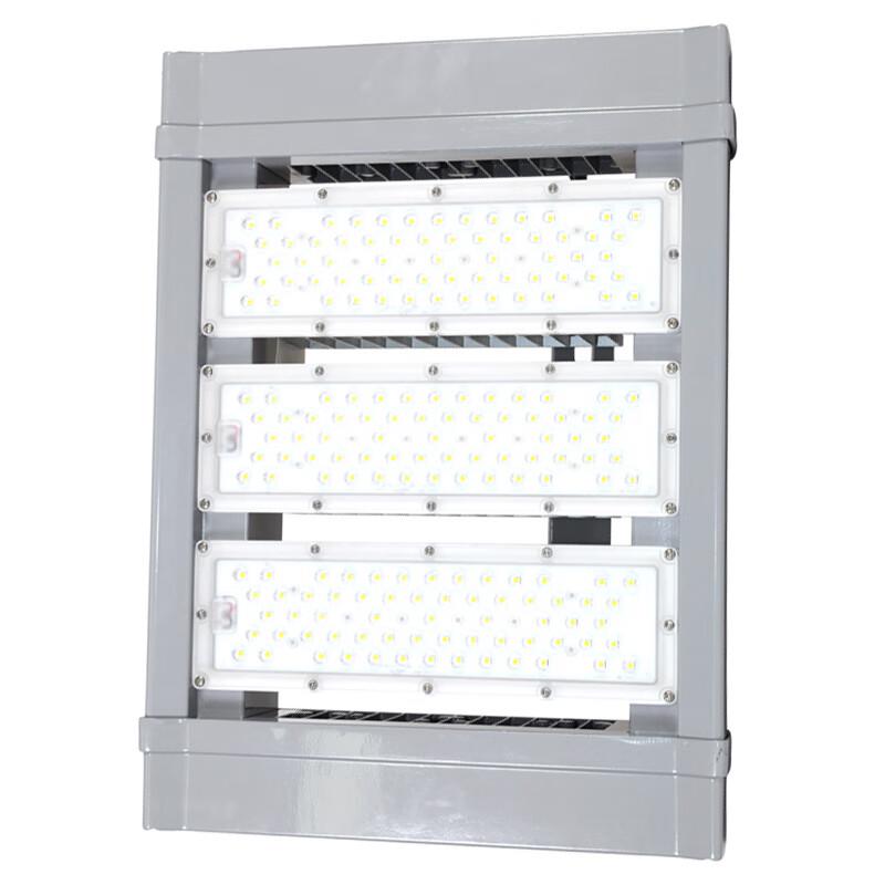 TORMIN ZY8102F-L100 Industrial LED Flood Light