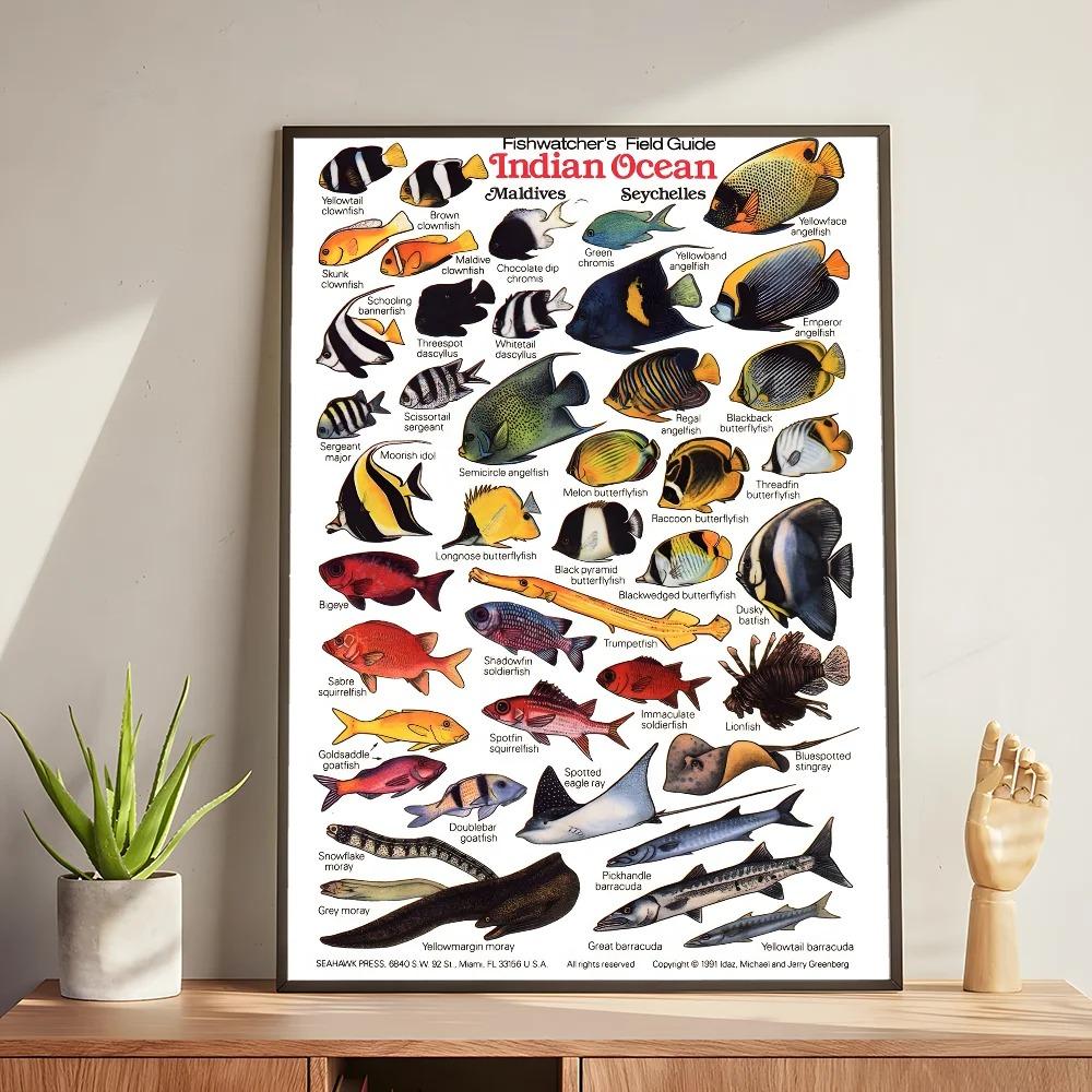 

Whale and Shark Seashells Turtles Octopus Fish Marine Life Ocean Animals Poster and Print Canvas Painting Wall Art Home Living Room 20x30cm