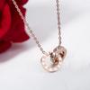 Stainless Steel Double Ring Necklace, Light Luxury, Niche Collarbone Chain Design, Digital Pendant Necklace