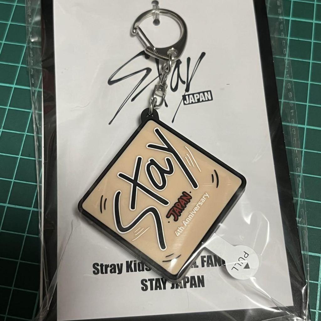 [USED] Stray Kids Voice Keychain Seungmin