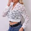 Elegant Ladies Midriff-Baring Jacquard Lace See-Through Zip Jacket Coat