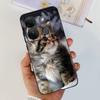 For Infinix Smart 7 HD Case Smart 7HD X6516 2023 Elegant Printing Soft Silicon TPU Slim Phone Back Cover