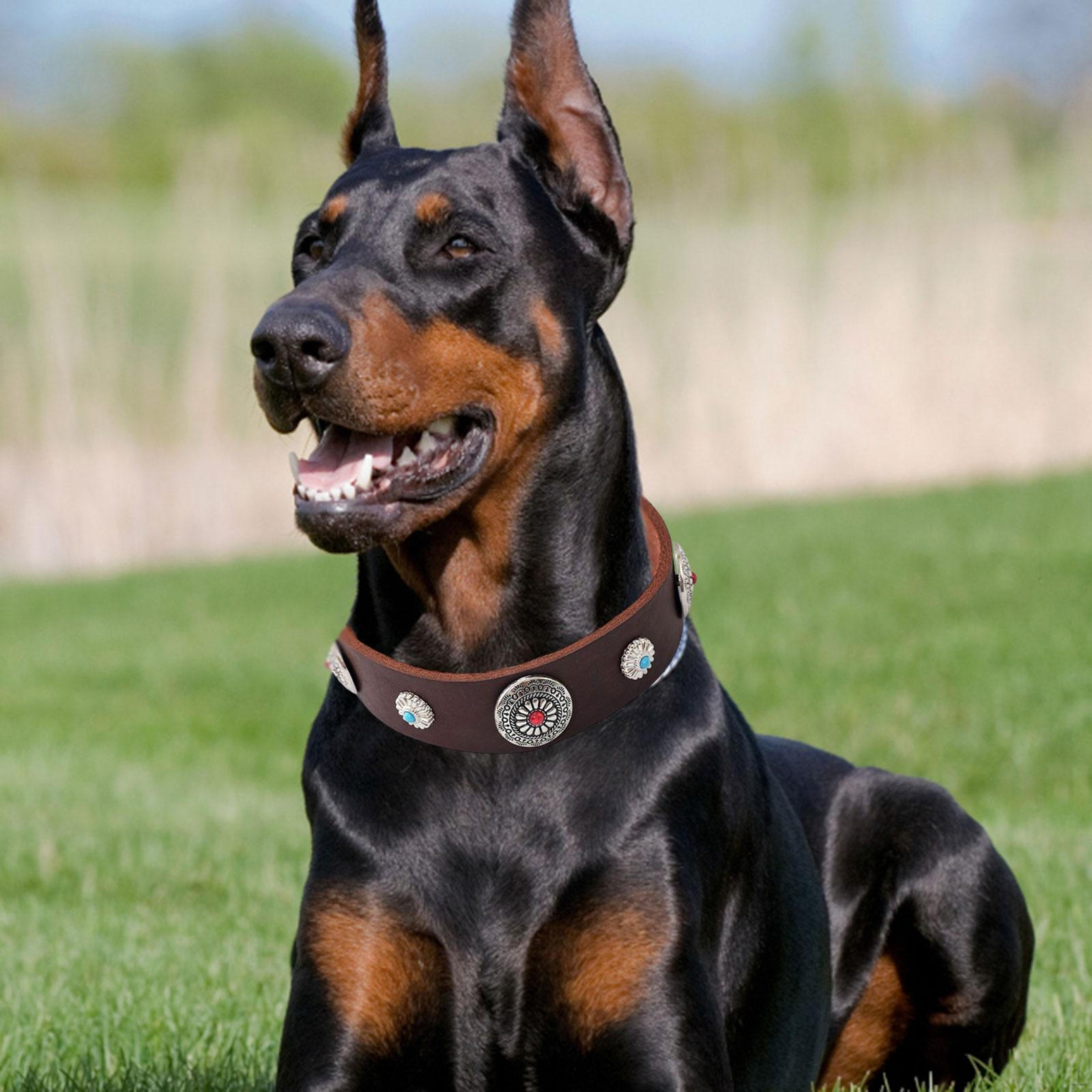 

Регулируемый ошейник для собак в стиле ретро с металлической пряжкой для дрессировки собак средних размеров на открытом воздухе M