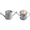 Artibetter 2pcs Tin Watering Can Vases for Centerpieces Mini Flower Pots Mini Metal Buckets Retro Flower Pot Bucket Plants Watering Pot Watering Can