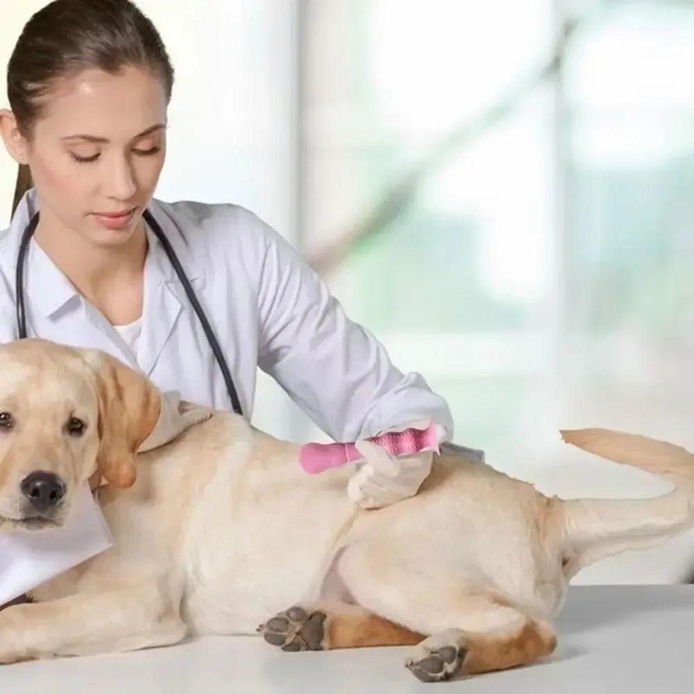 with Suction Cup Dog Tear Stain Remover Multi-functional Tear Stain Paste Brush  Pet Health