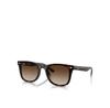 Ray-Ban 0RB4420 Sunglasses