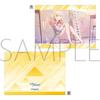 Saki Tenma Clear File Project Sekai Colorful Hatsune Miku Leonid Limited Edition Merchandise Vol.7 4 Stage! feat. Leo/need