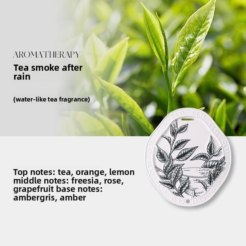 Relief Gypsum Hanging Pieces, Car Aroma Diffusers, Indoor Wardrobes, Bathroom Solid Long-lasting Fragrance Souvenirs
