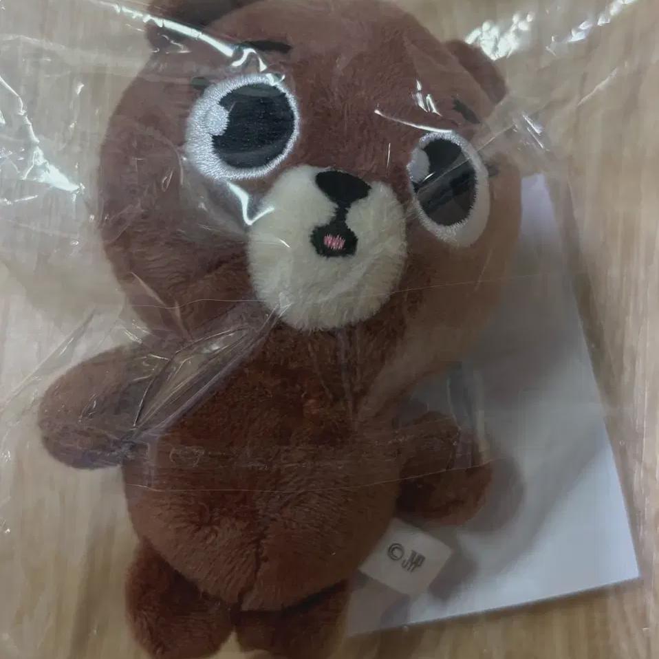 

DAY6 Япония Md Denimals Room Продает сумку