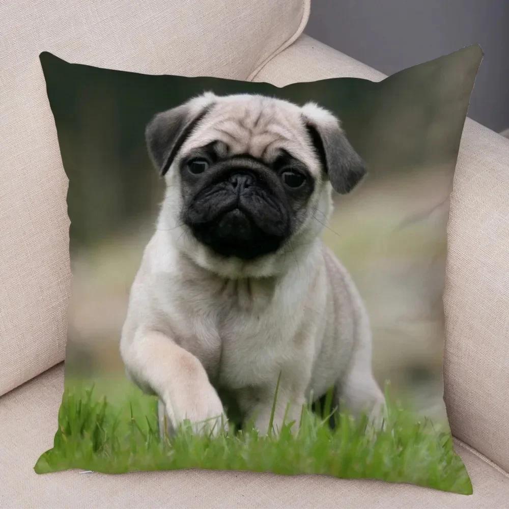 VIKAMA Nordic-Style Adorable Dog Cushion Cover Pug Print Cushion Cover Bedroom Living Room Sofa Decorative Cushion Cover
