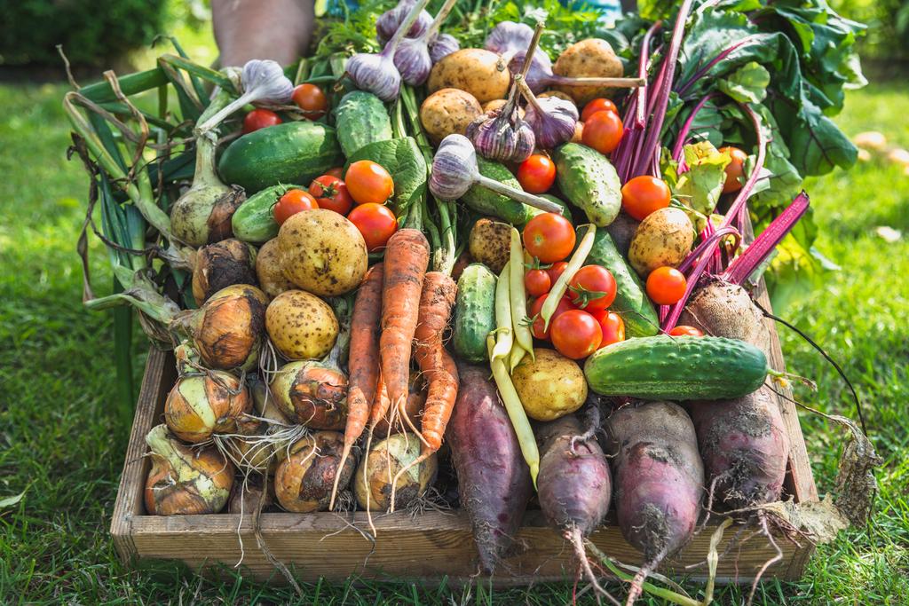 Ekologisk gödsel för jordgubbar och hallon, naturlig, bio, granulat, Biovita, 3 kg