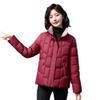 2025 winter new Korean version of fashion stand-up collar small cotton jacket slim slimming down cotton jacket female student padded jacket