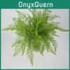 Pianta Realistica Felce Maschio Dryopteris Filix Schott Con Foglie Realistiche Per Miglioramento Domestico