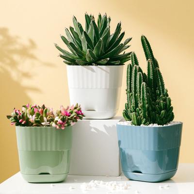 Plastic Flower Pot Large Fleshy Small Flower Pot White New Reed Imitation Ceramic Green Plant Planting Pot