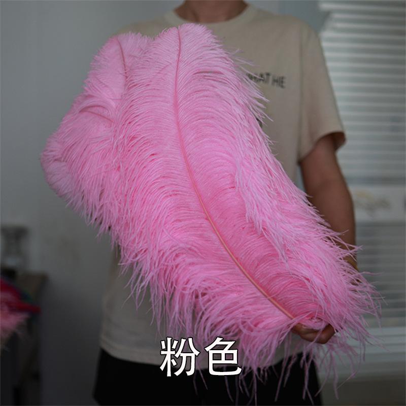 Thick Rod Wide Hair 50-55Cm Ostrich Feather Wedding Road Guide Table Flower Home Decoration Ornament Ostrich Hair White