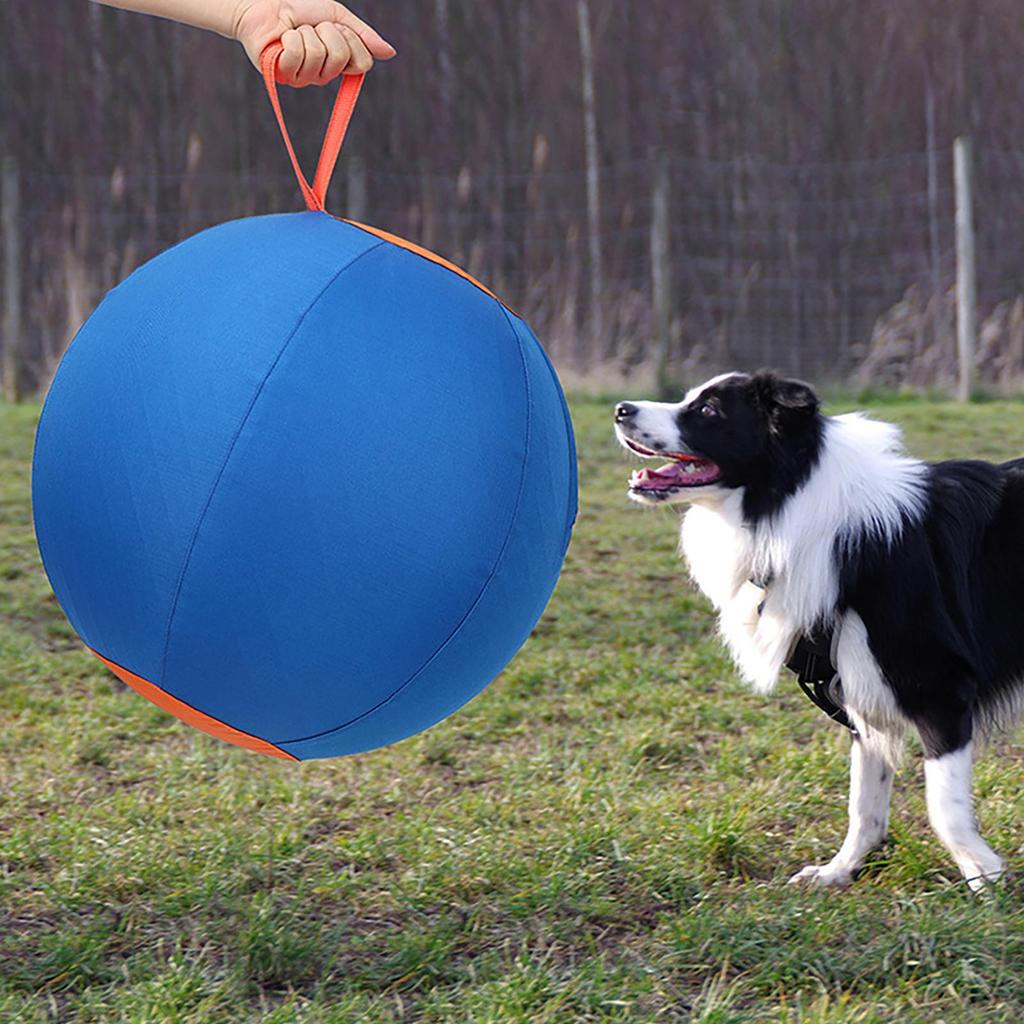 Resistant Pet Balls Large Ball For Dog Outdoor Dog Ball Toy Inflatable Large Balls Toys Herding Ball For Border Collies
