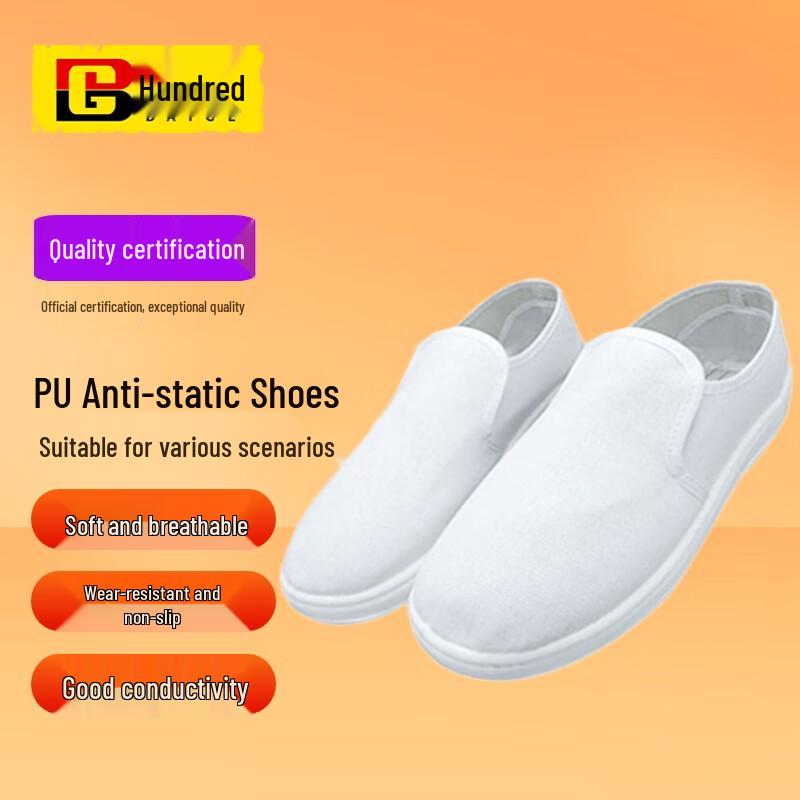 Antistatic Cleanroom Work Shoes