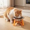 Large Diameter Stainless Steel Cat Bowl Detachable Feeding Bowl Pet High Footed Bowl  Pet Feeding