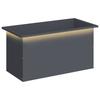Garden Planter with LED Anthracite 40 X 80 X 40 Cm Steel