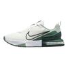 Nike Air Max Alpha Trainer 6 Summit White/Light Silver/Seaweed/Seaweed Men Sneakers FQ1833-108