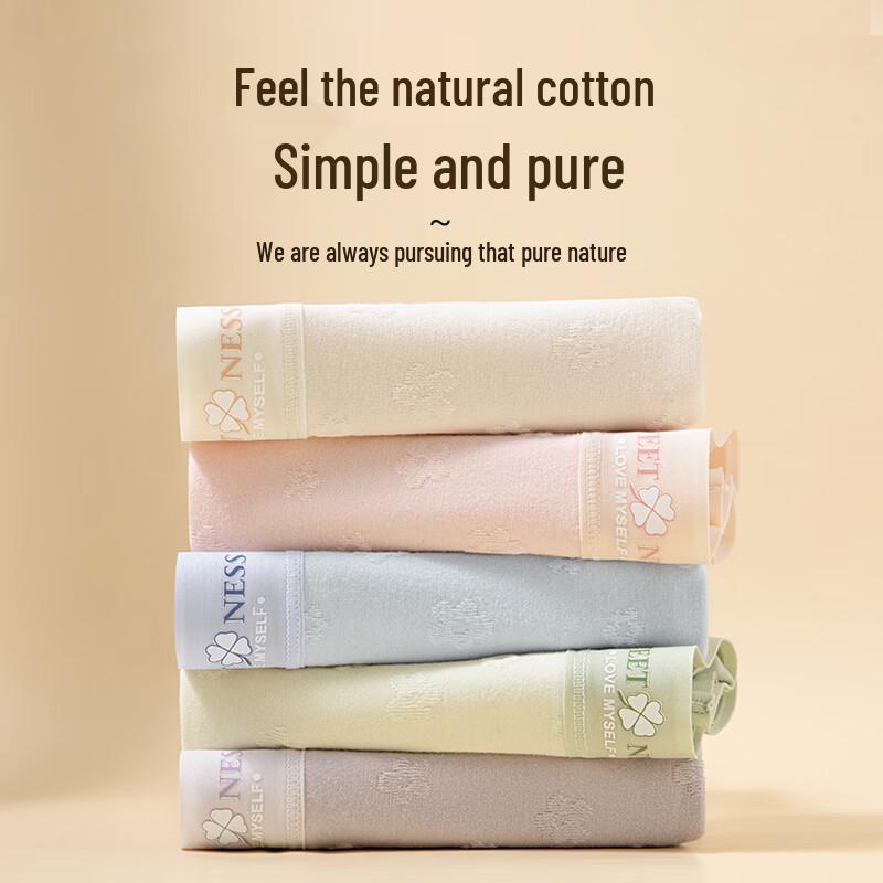 SNOWFLYING Women's 4-Pack Seamless Cotton Antibacterial Briefs