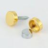 Advertising Screws Nails Furniture Hardware Mirror Fixing Nails Screws Decorative Cap Decoration Screw Covers Mirror Fasteners