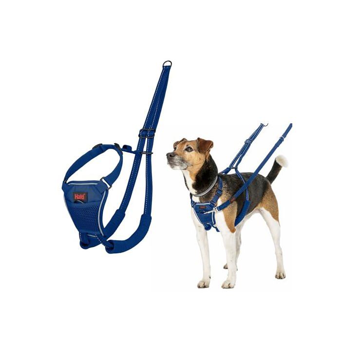 Harnais anti-traction pour chien - Halti - Réfléchissant - Sangle rembourrée - Taille S - Bleu Cobalt - Polyester