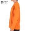 Move Sports Descente Dry Mesh Long Sleeve for Training and Size M Shirt, Moisture-Wicking, Quick-Drying, Running, (DMMWJB50)