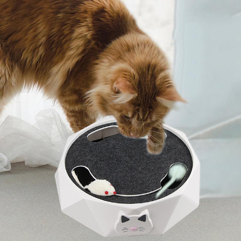 Interactive Cat Turntable Electric 2 Speed Adjustable Automatic Puzzle Catch Mouse Play Cat Toy for