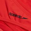 Speedo Womens/Ladies Plain Swim Briefs