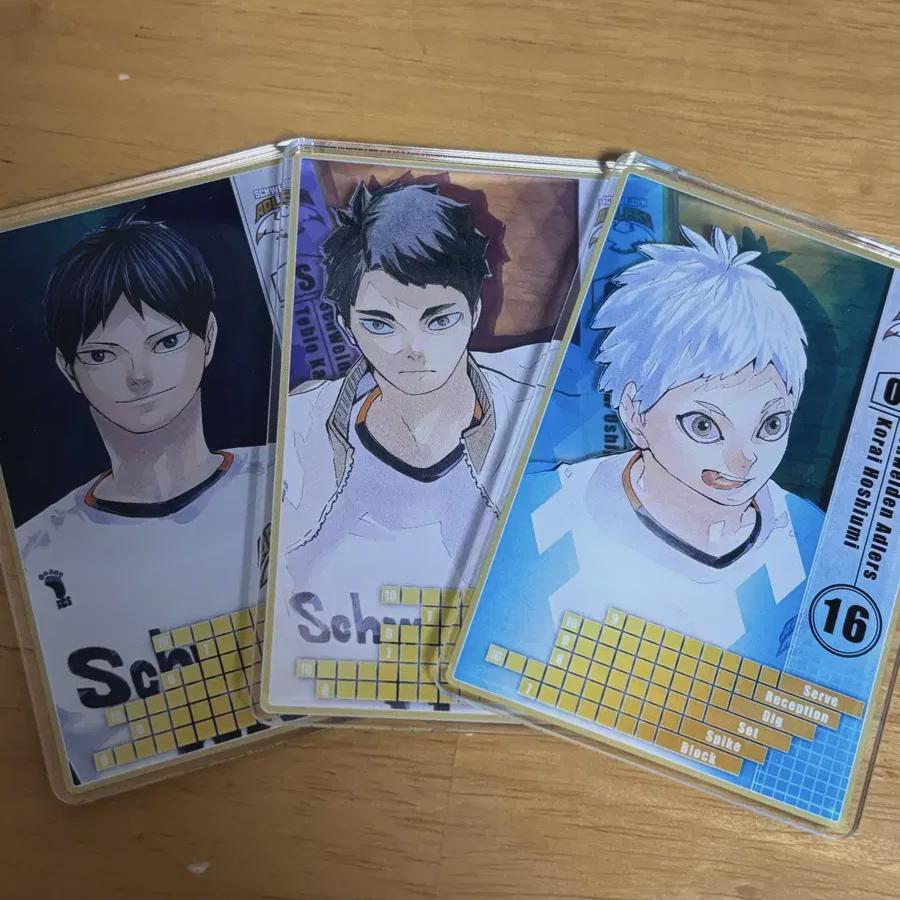 

Кагеяма Ушиджима Хосиуми Статус