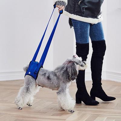 dog braces for weak hind legs