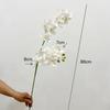 Long Branch Artificial Phalaenopsis 86cm Vanda Flower 3D Fake Flower  Art Accessories