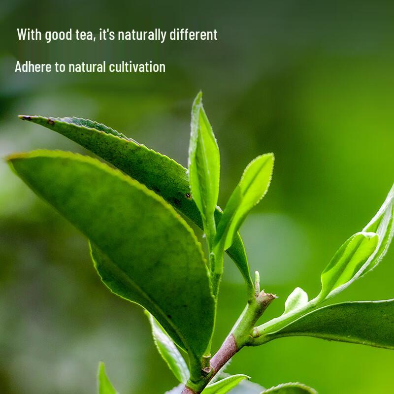 Fudongshun Wuyi Dahongpao Oolong Tea