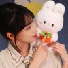 Rabbit Doll Plush Birthday Gift Rabbit Toy Persimmon Luck Decoration Animal