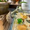 Fishing Turtle Hanging Turtle Figurine For Basin Fish Tank Aquarium Rockery Pond Courtyard Garden Decor Ornaments Decoration