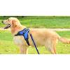Purple Pet Puppy Large Dog Medium Dog L-Type Harness + Leash Set L, Blue