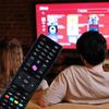HDTV TV Remote Controller RC4875 for Telefunken Finlux Shar LED TV Repair Part