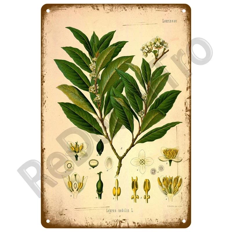 Metal Sign For Bar Home Wall Decor Art Tin Signs Flower Poster Gift Birds Vintage Metal Plaque Plates Decor Garden Flower Rul