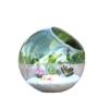 Slanted Mouth Round Glass Vase for Moss Succulents - DIY Eco-Bottle Crystal Home Decoration