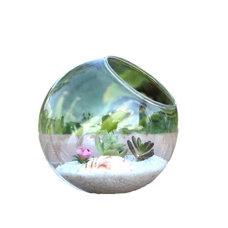 Slanted Mouth Round Glass Vase for Moss Succulents - DIY Eco-Bottle Crystal Home Decoration