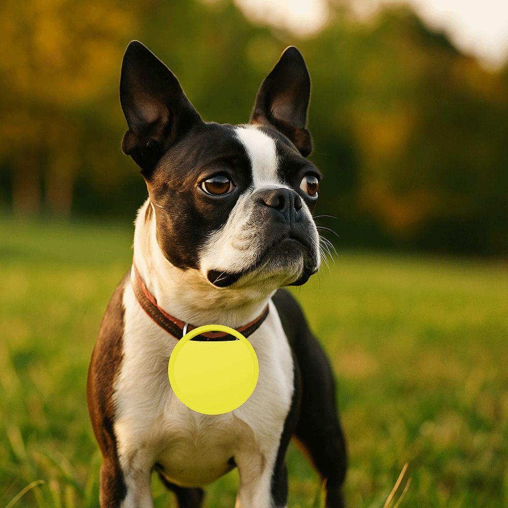 Mini Smart Pet Tracker Safety Anti Loss Device Portable Global Tracking Device  For Kid Pet
