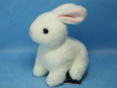 Stuffed Animal Starchild Wild Rabbit White Color